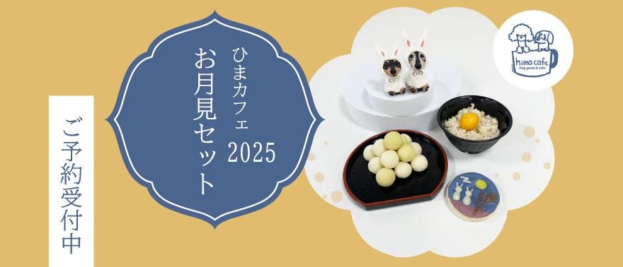 Ҥޥեꥸʥ