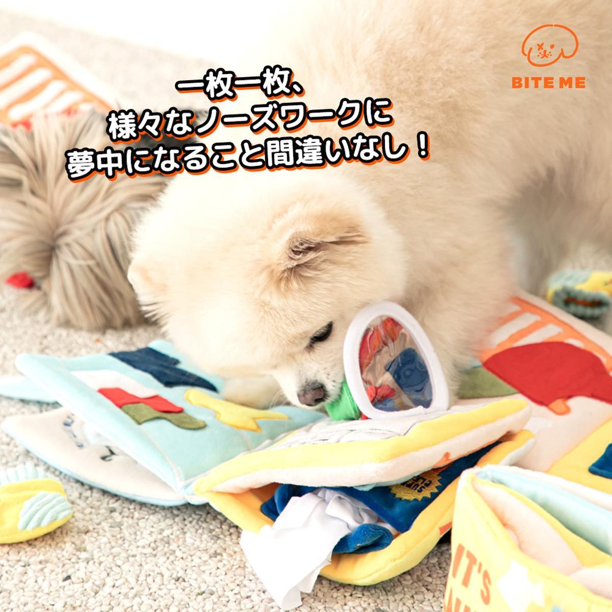 洗濯の日  