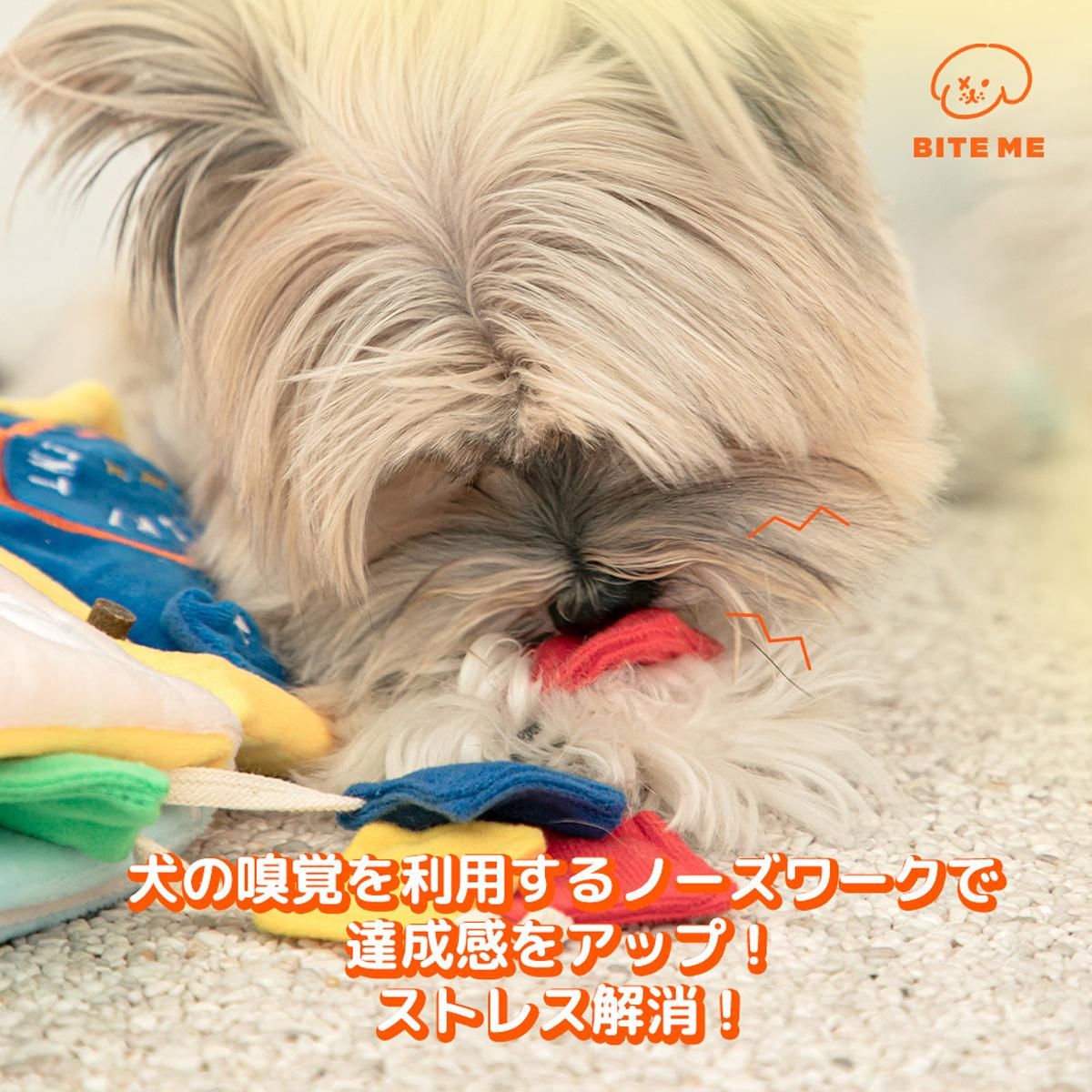 洗濯の日 