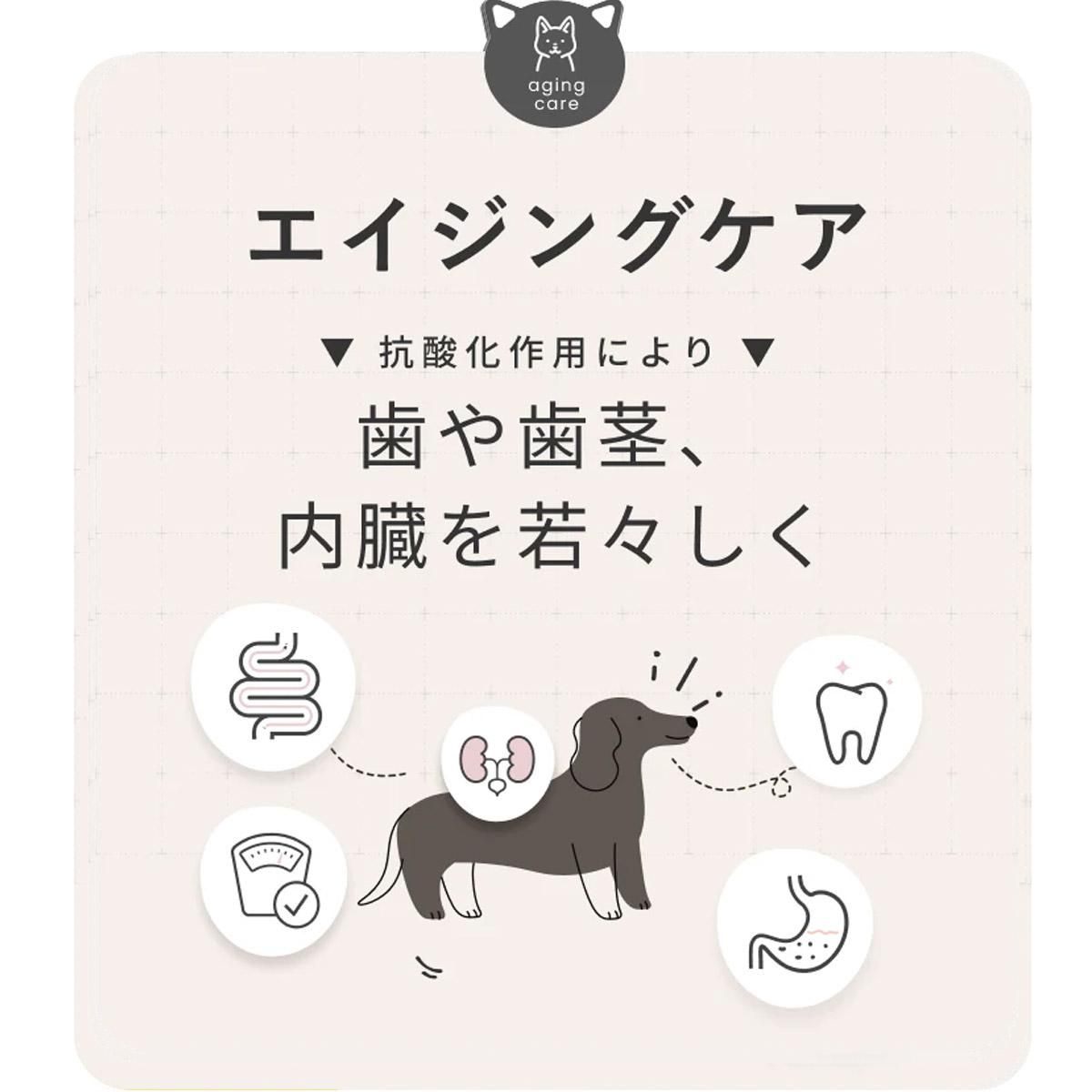 륯ե 