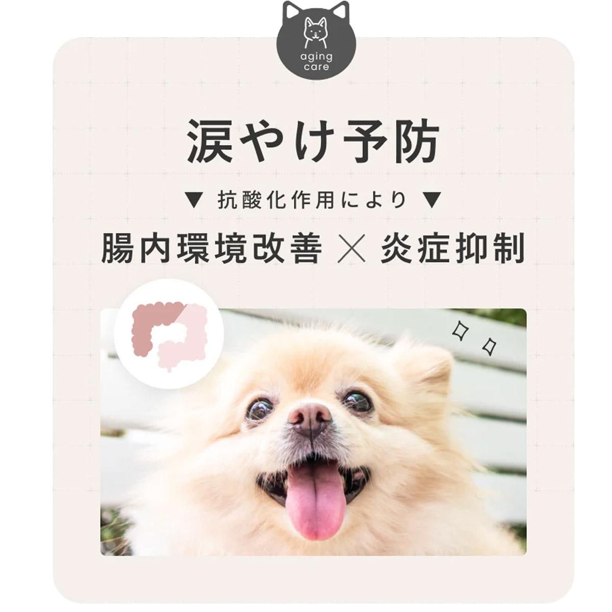 륯ե 