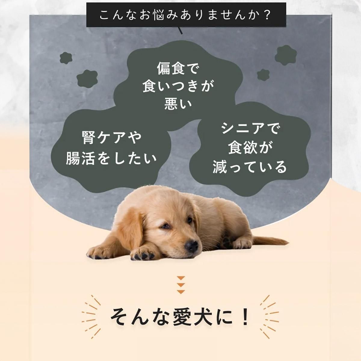 륯ե륦å 