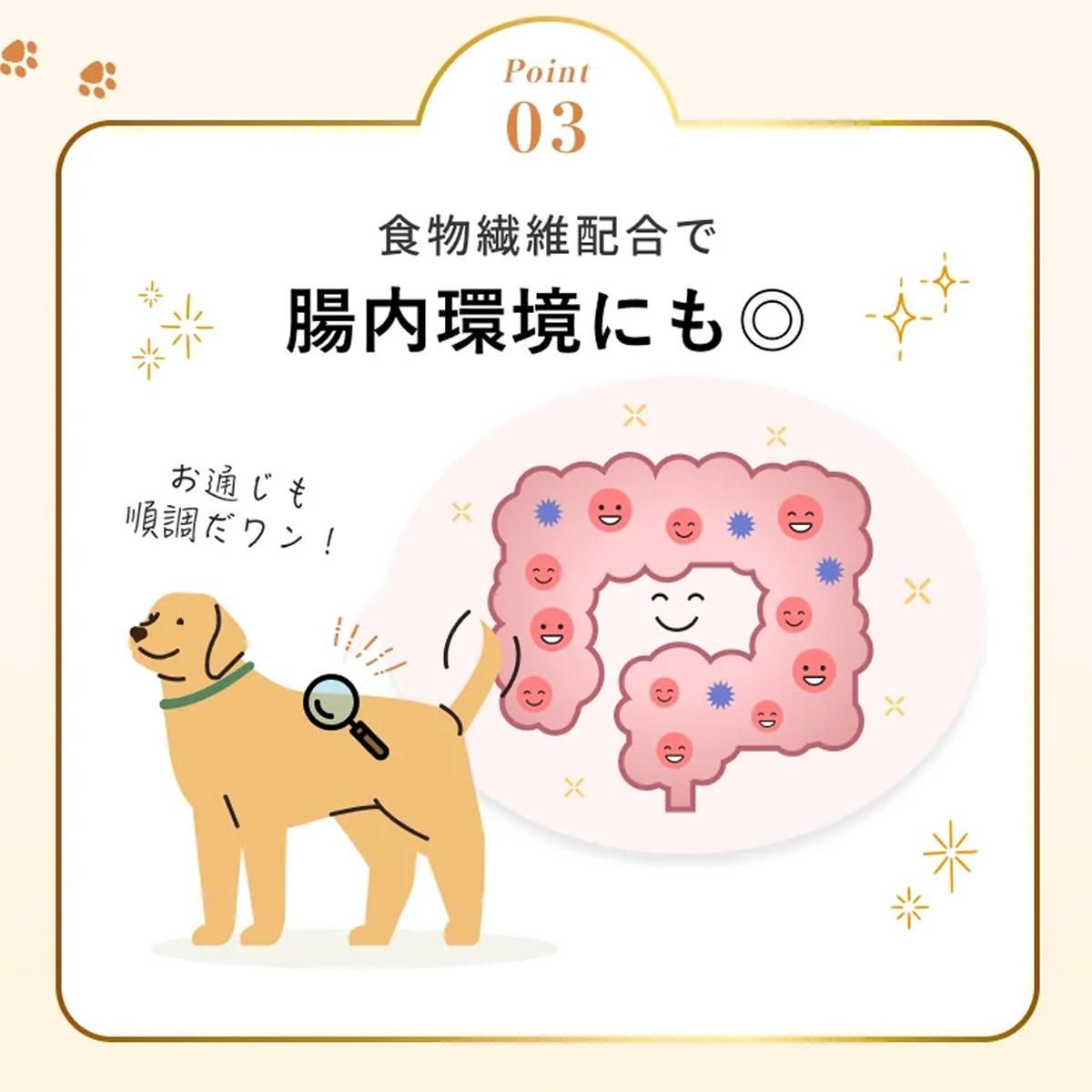 륯ե륦å 