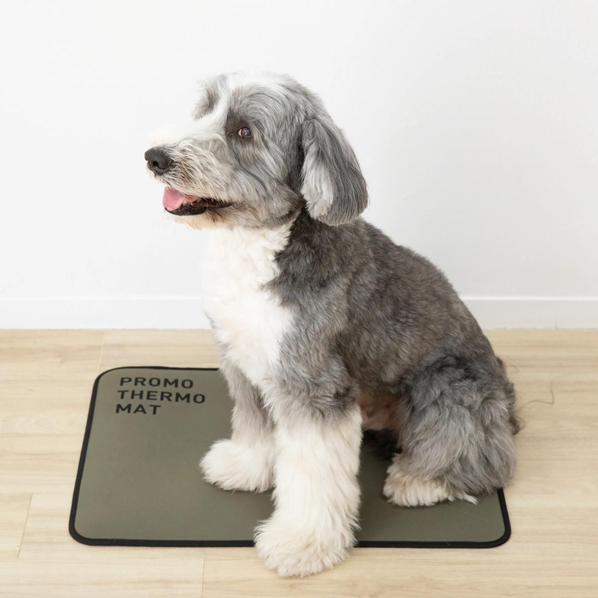 プロモサーモマット ブラックシリカ｜わんこん家ひまカフェ