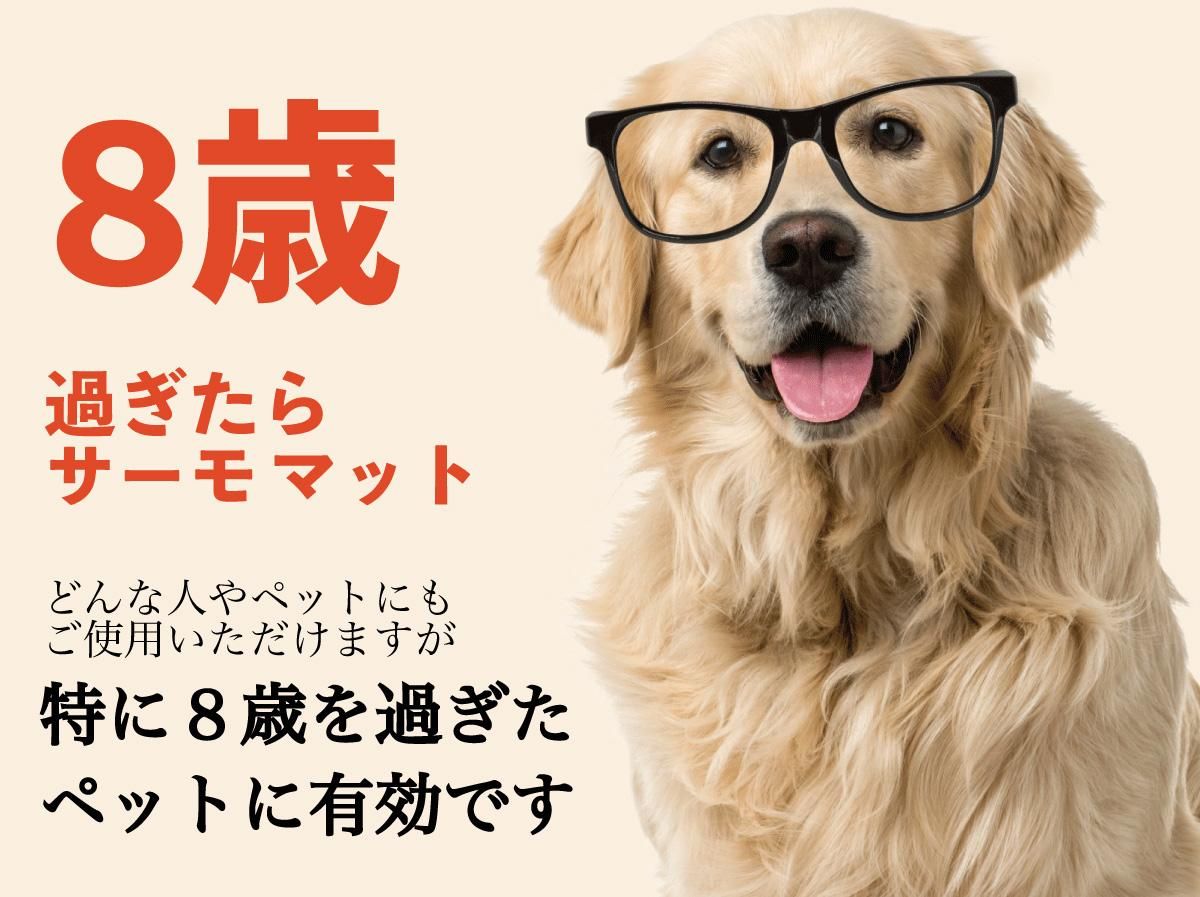ץ⥵ޥå 