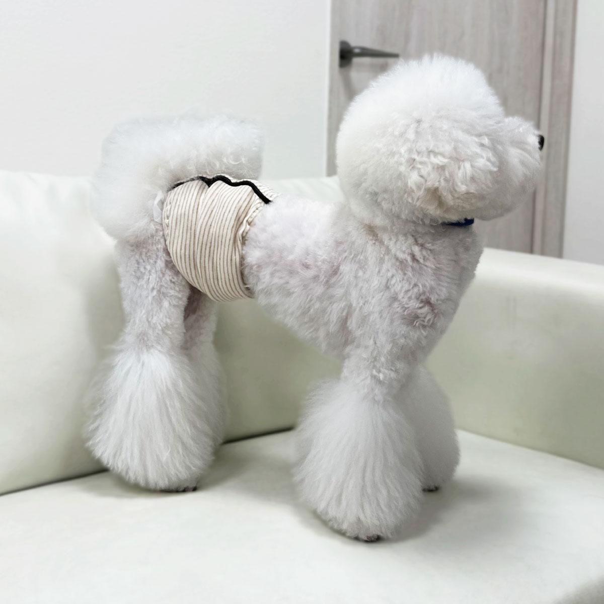 ݥ