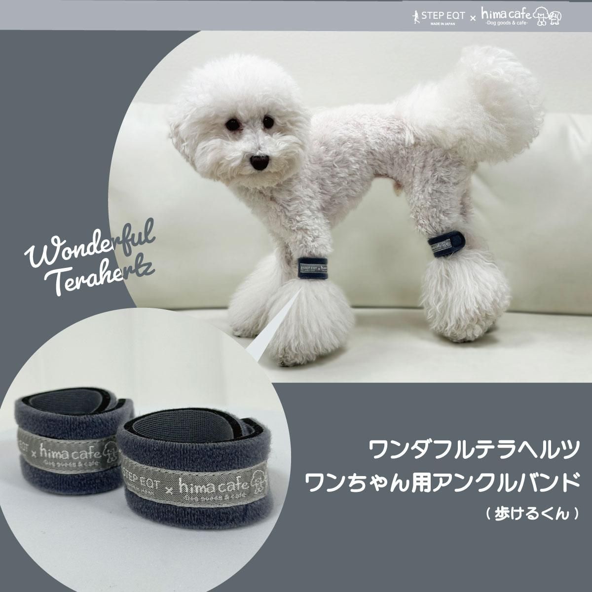 ひまカフェ×STEP EQT ワンダフルテラヘルツ ワンちゃん用