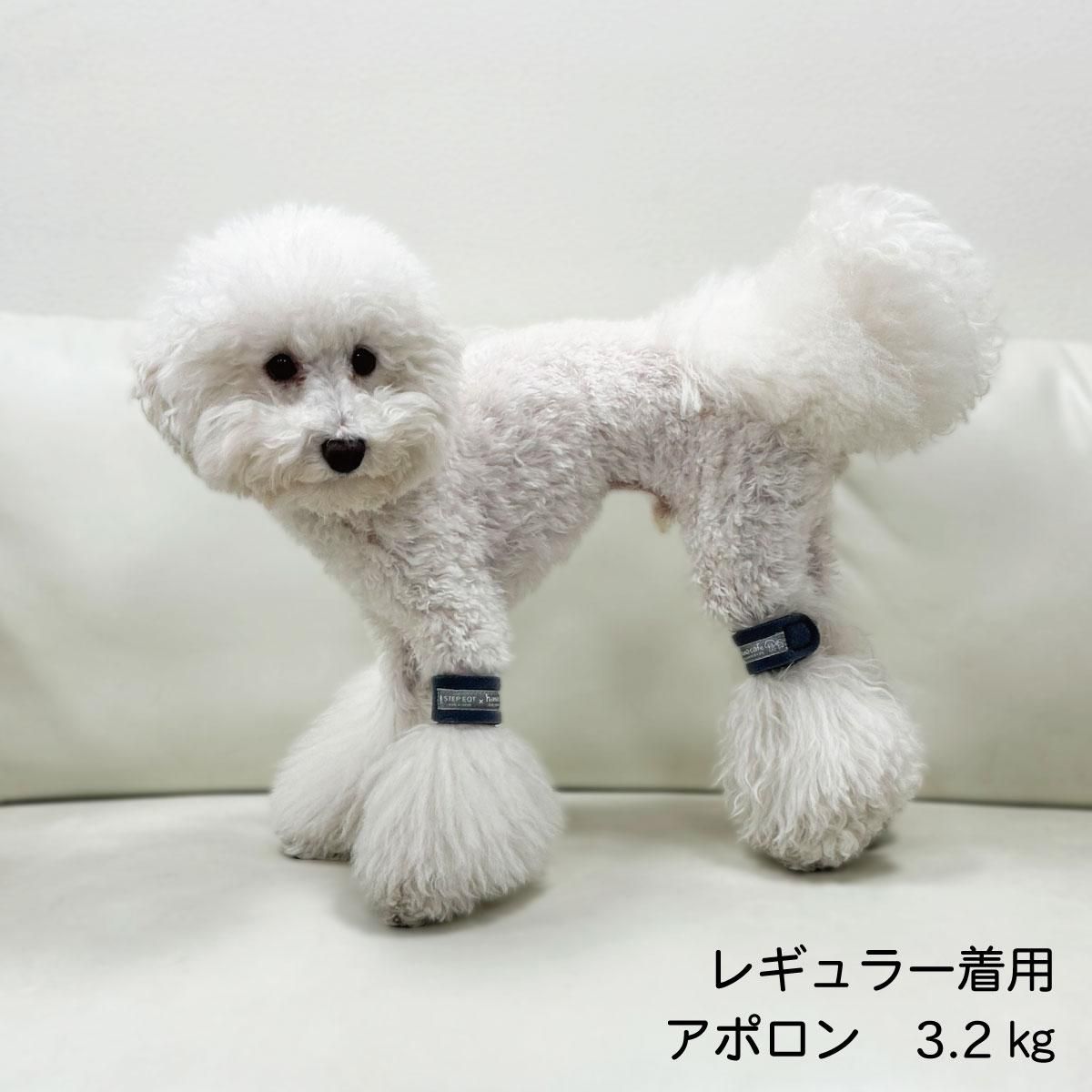 STEP EQTҤޥե󥯥륢ݥ