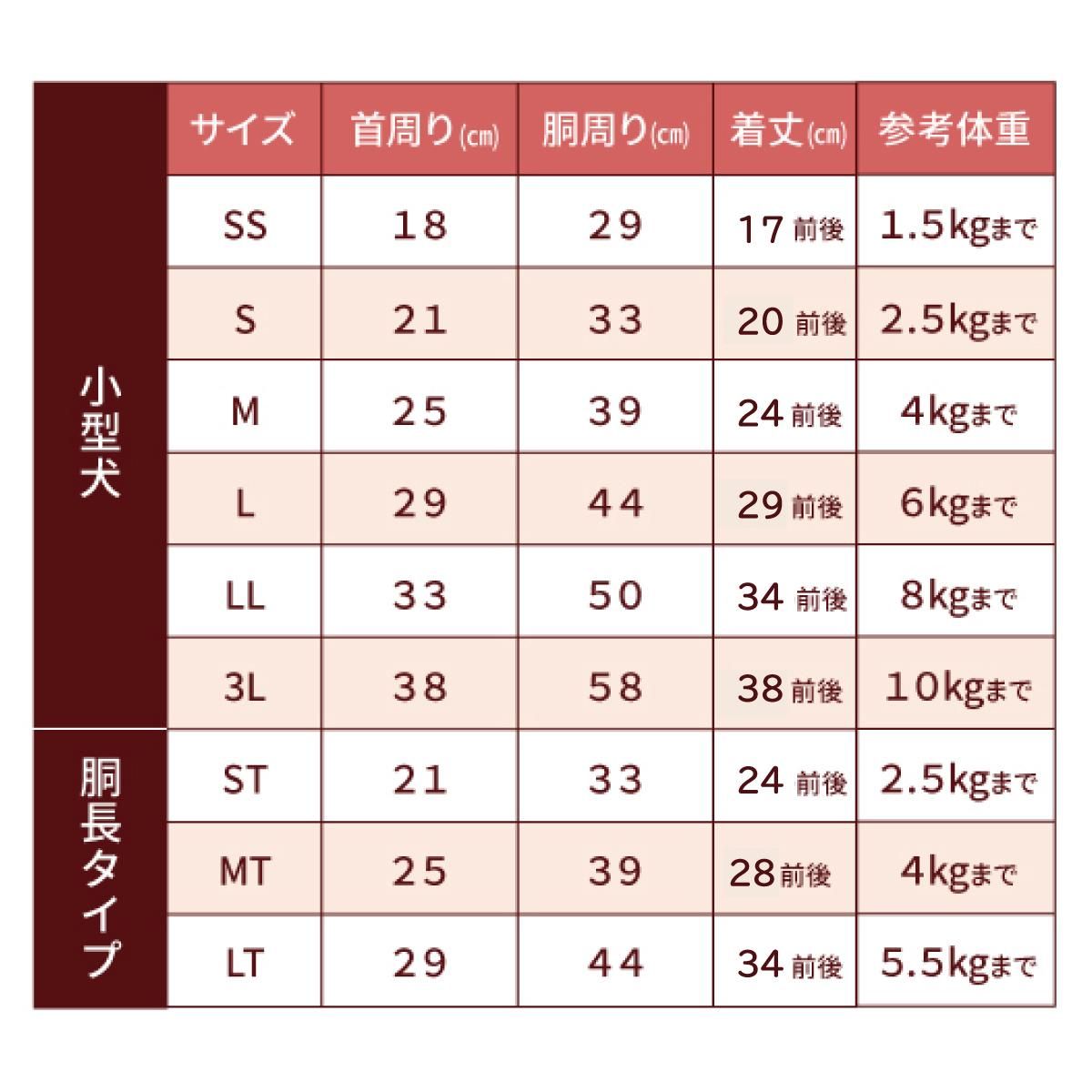 サイズ表