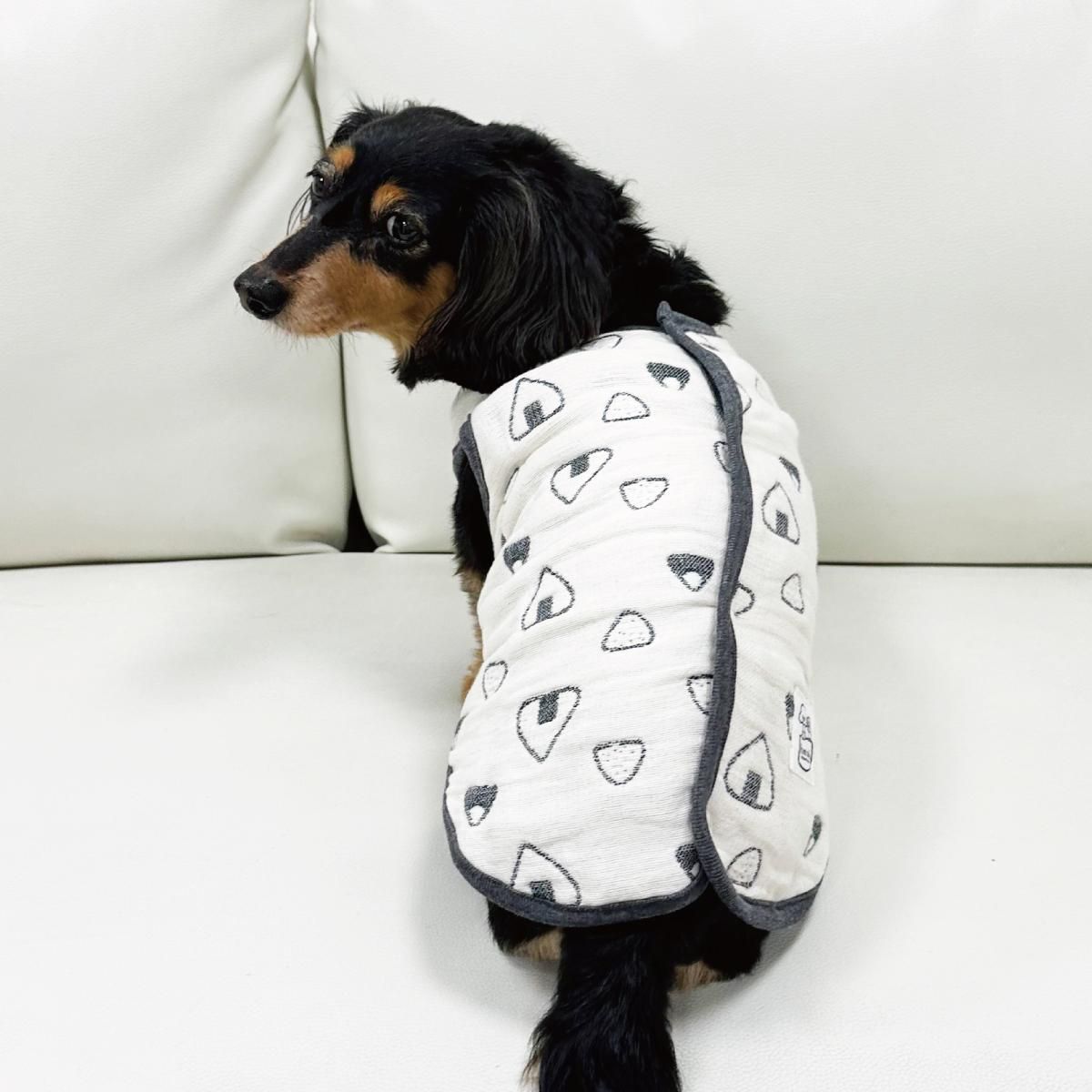 チップ