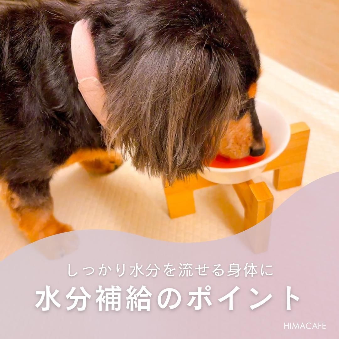 ʬΥݥ
