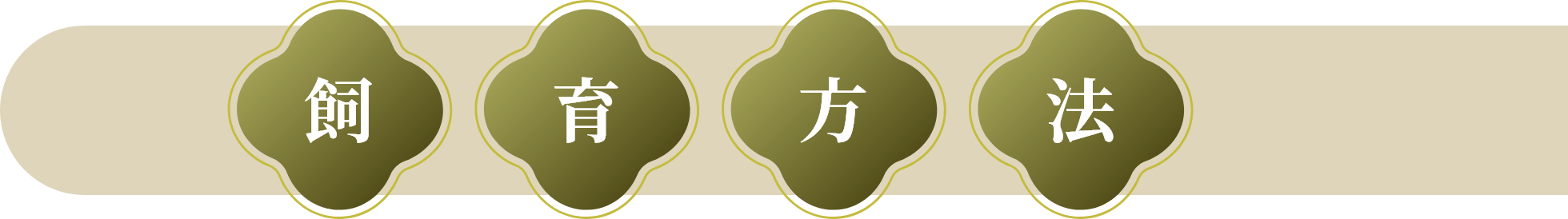 比内地鶏_21