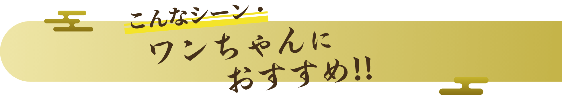 比内地鶏_3
