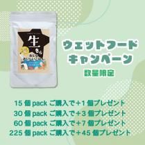 ڥåȥաɥڡ  ȤʤϤ PURSUIT OF LOVE 8ޤޤǥݥ