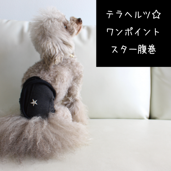ネコポス対応 テラヘルツ ワンポイントスター腹巻 わん子ん家ひまカフェ ネコポス対応 テラヘルツ ワンポイントスター腹巻 わん子ん家ひまカフェ
