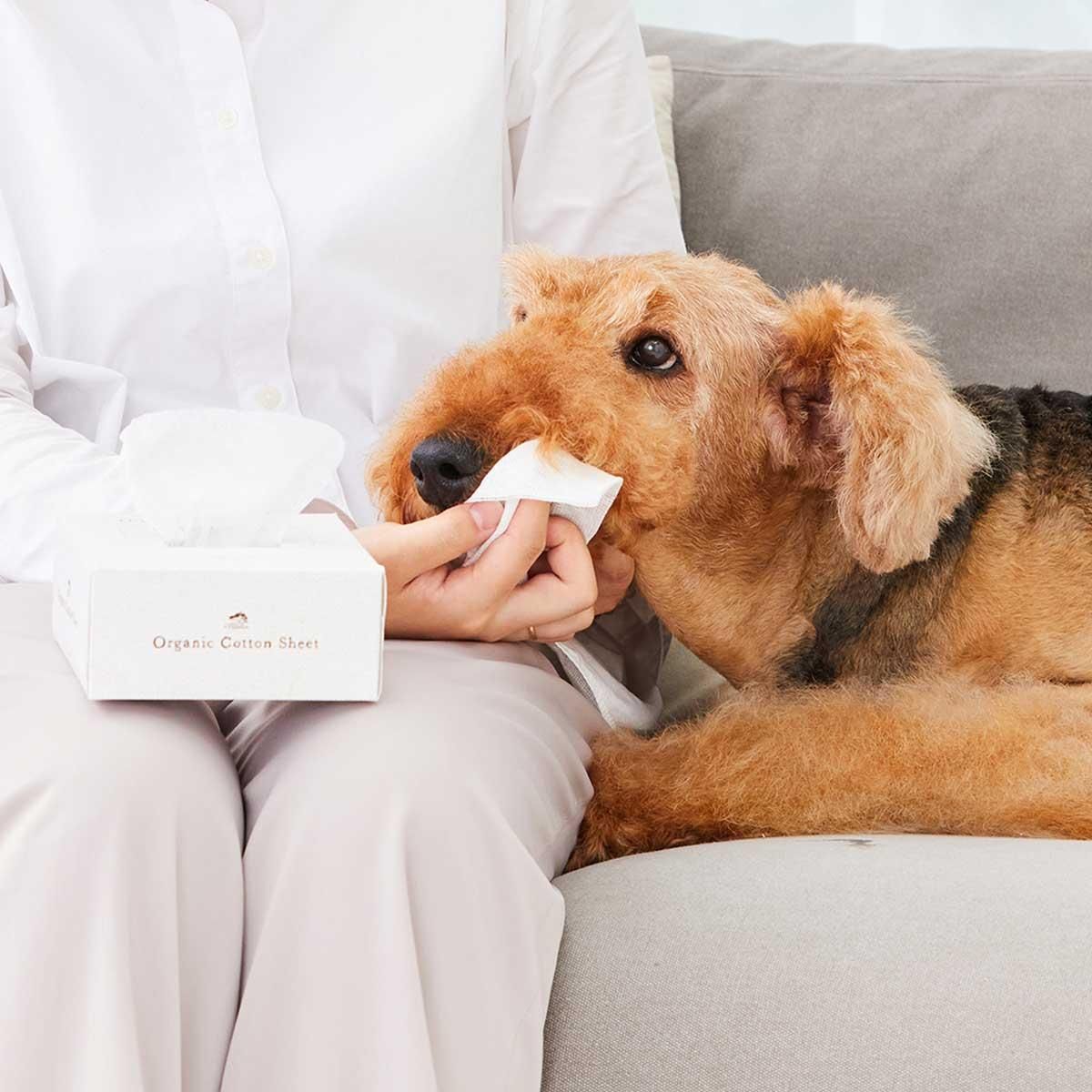 4種類の JCオーガニック大麦製品 4種類の JCオーガニック大麦製品 ここく cococu.jp