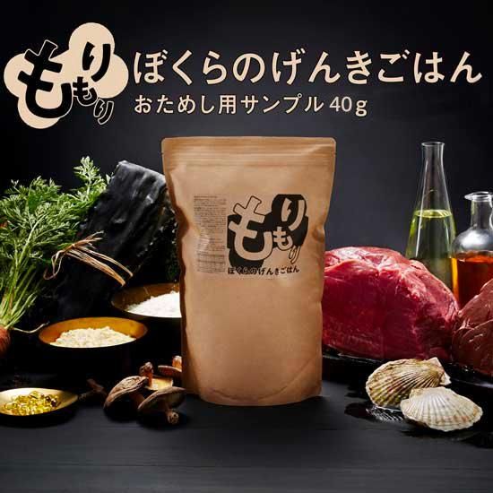 お試し用 もりもりぼくらのげんきごはん 免疫力アップ 皮膚被毛のケアに 無添加 国産ドックフード ドライ ネコポス対応 わん子ん家ひまカフェ お試し用 もりもりぼくらのげんきごはん 免疫力アップ 皮膚被毛のケアに 無添加 国産ドックフード ドライ ネコポス対応 わん子ん家ひまカフェ
