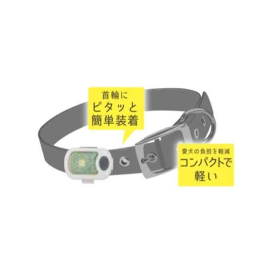 ポスト配送対応】ハイパーブリンカーズ EX|わん子ん家ひまカフェ ポスト配送対応】ハイパーブリンカーズ EX|わん子ん家ひまカフェ