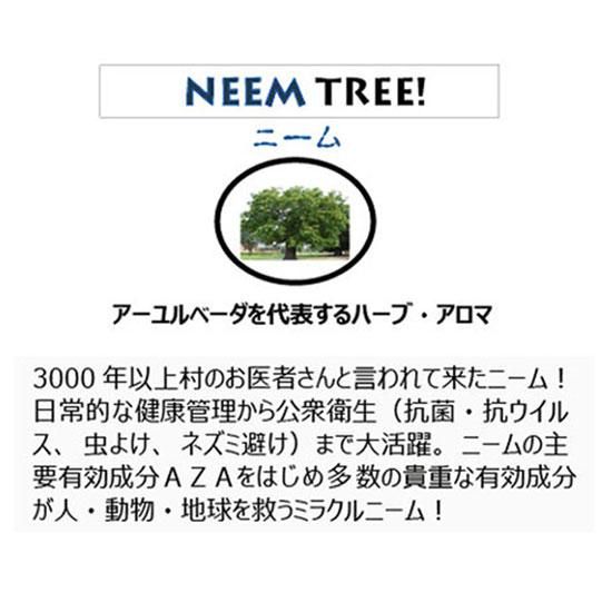 バイオアクトクリーン パイン洗剤 虫対策 抗菌 消臭 抗カビ わん子ん家ひまカフェ バイオアクトクリーン パイン洗剤 虫対策 抗菌 消臭 抗カビ わん子ん家ひまカフェ