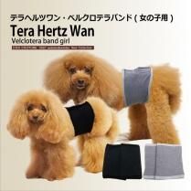 1/30Lサイズ再入荷】2023クークチュール秋冬新作 【テラヘルツ
