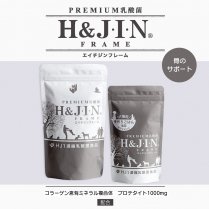 乳酸菌エイチジン フレーム／H&J＊ネコポス可