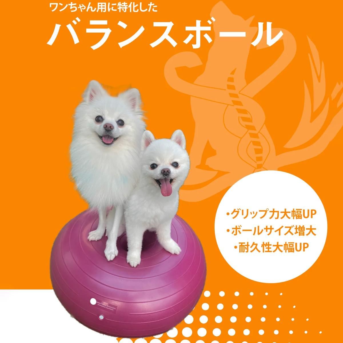 アプリア　バランスボール　新品 Amazon | アプリア ドーナッツボールプラス 犬用 バランスボール