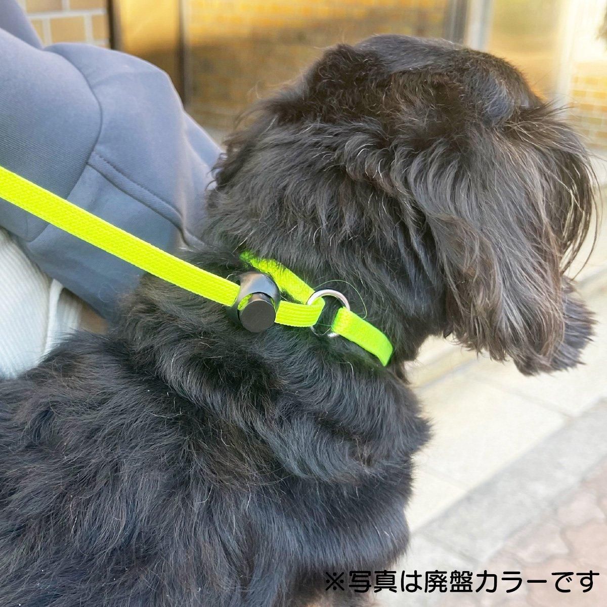 緊急・防災リード ＊ポスト配送可｜わんこん家ひまカフェ