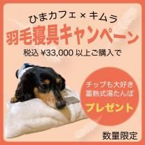 ڼۤդ걩ӥ饰 ؤСʥСΤߡˡ  Ҥޥեꥸʥ