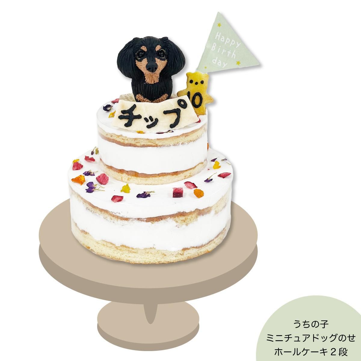 犬用ケーキ＊うちの子ミニチュアドッグのせケーキ【冷凍】｜わん子ん家