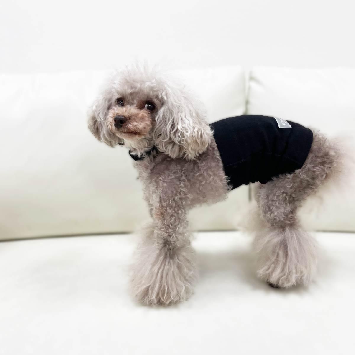 hima cafe テラヘルツ × STEP EQT歩けるくん グレー 腹巻