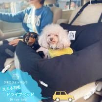 ӥڡڼ뱩ӥɥ饤֥٥åɡ ߤҤޥեꥸʥ 