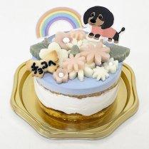 【冷凍】手作りわんこケーキ＊うちの子虹の橋ケーキ／ひまカフェキッチン
