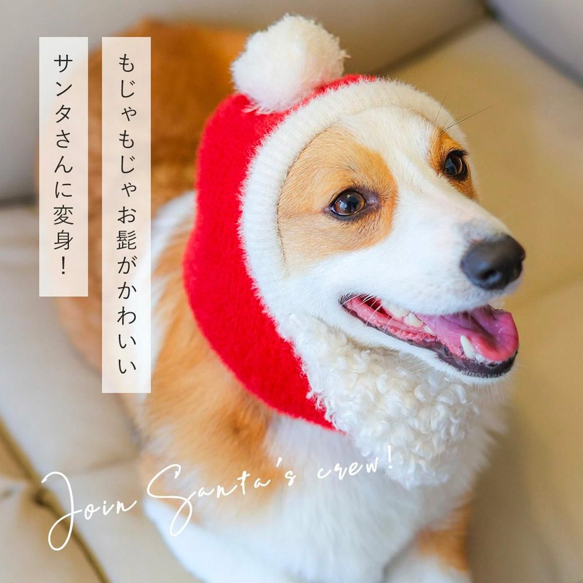 ͥ