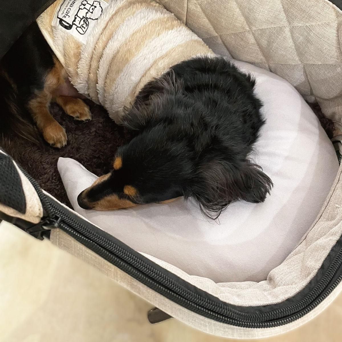 ����ͥ������