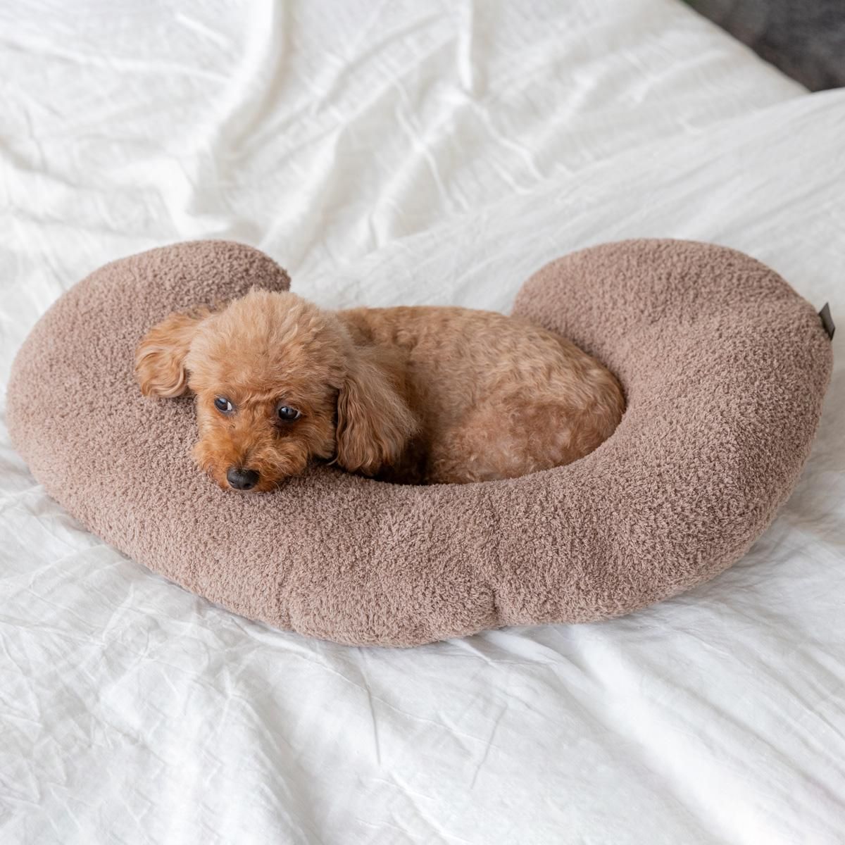 MOMMY HUG（マミーハグ）／+won｜わんこん家ひまカフェ