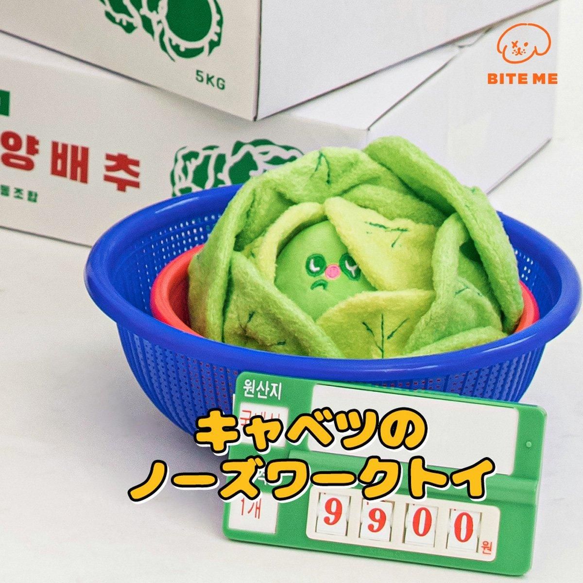 キャベツくんくんボールおもちゃ／BITE ME｜わんこん家ひまカフェ