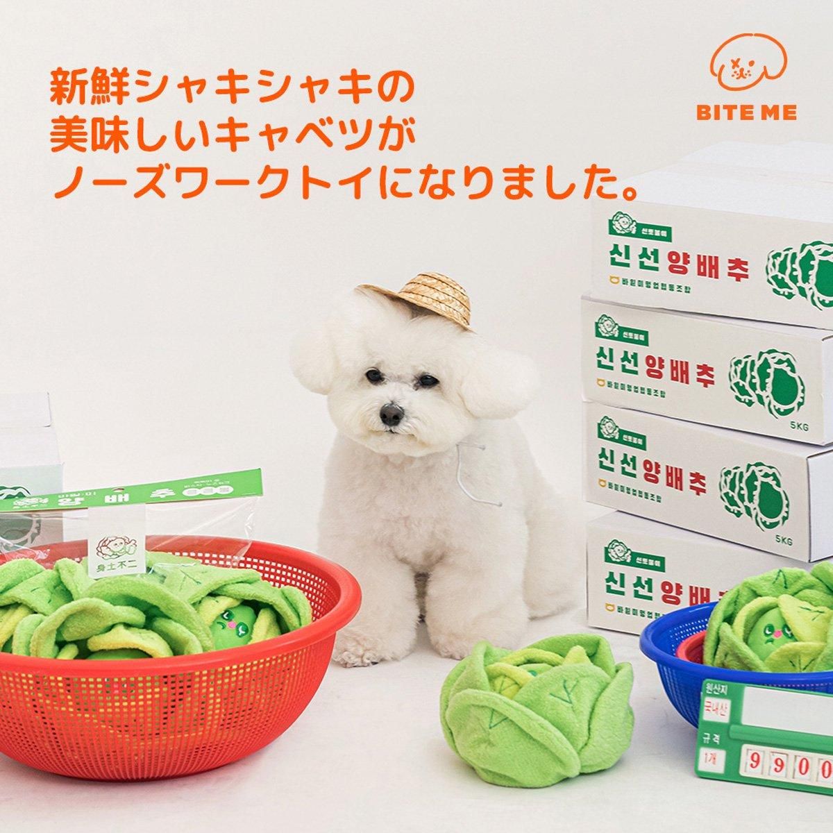 キャベツくんくんボールおもちゃ／BITE ME｜わんこん家ひまカフェ
