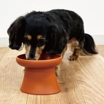 TokoBowlʥȥܥˡOPPO