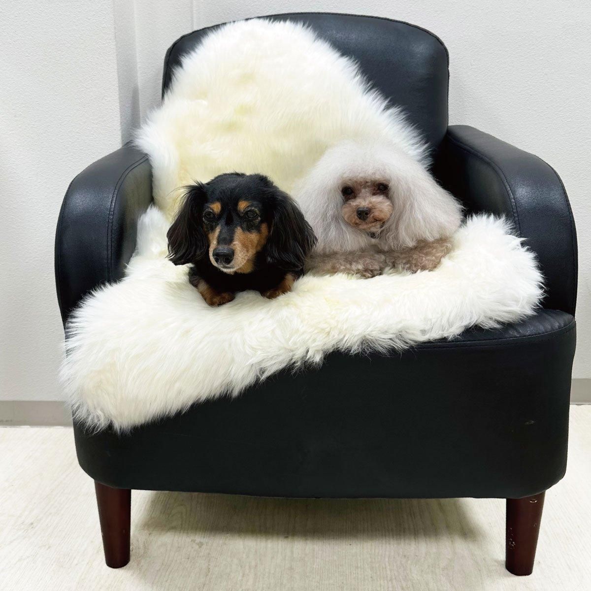 ムートンフリース 長毛｜わんこん家ひまカフェ