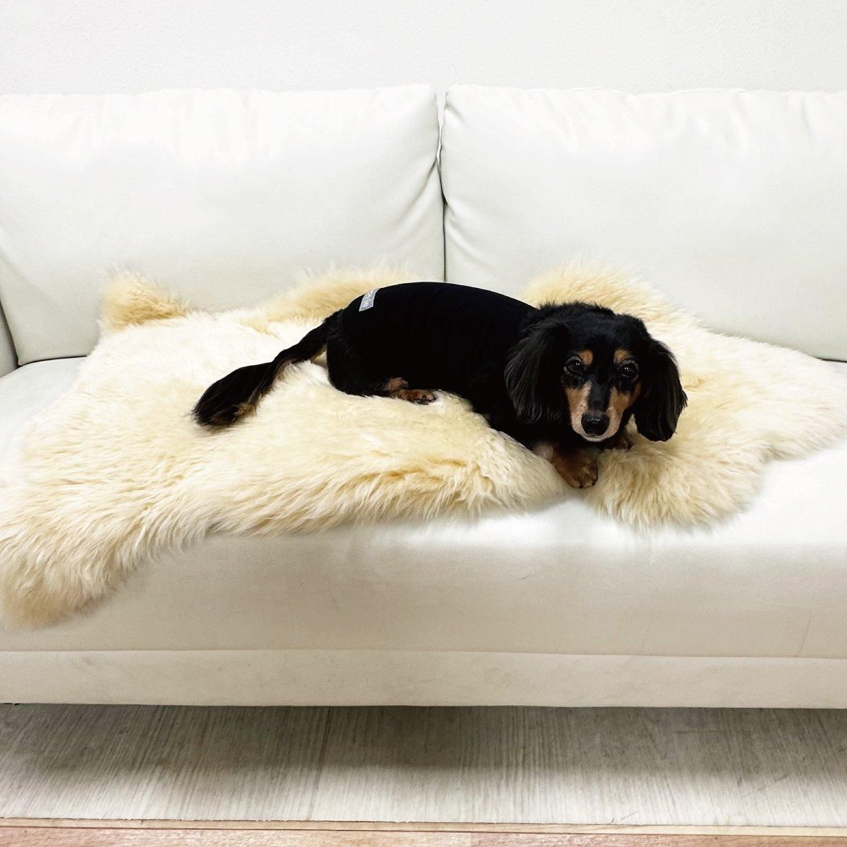 ムートン フリース FREAK'S STORE｜限定展開 リラックスフィット B-3 フェイクムートン