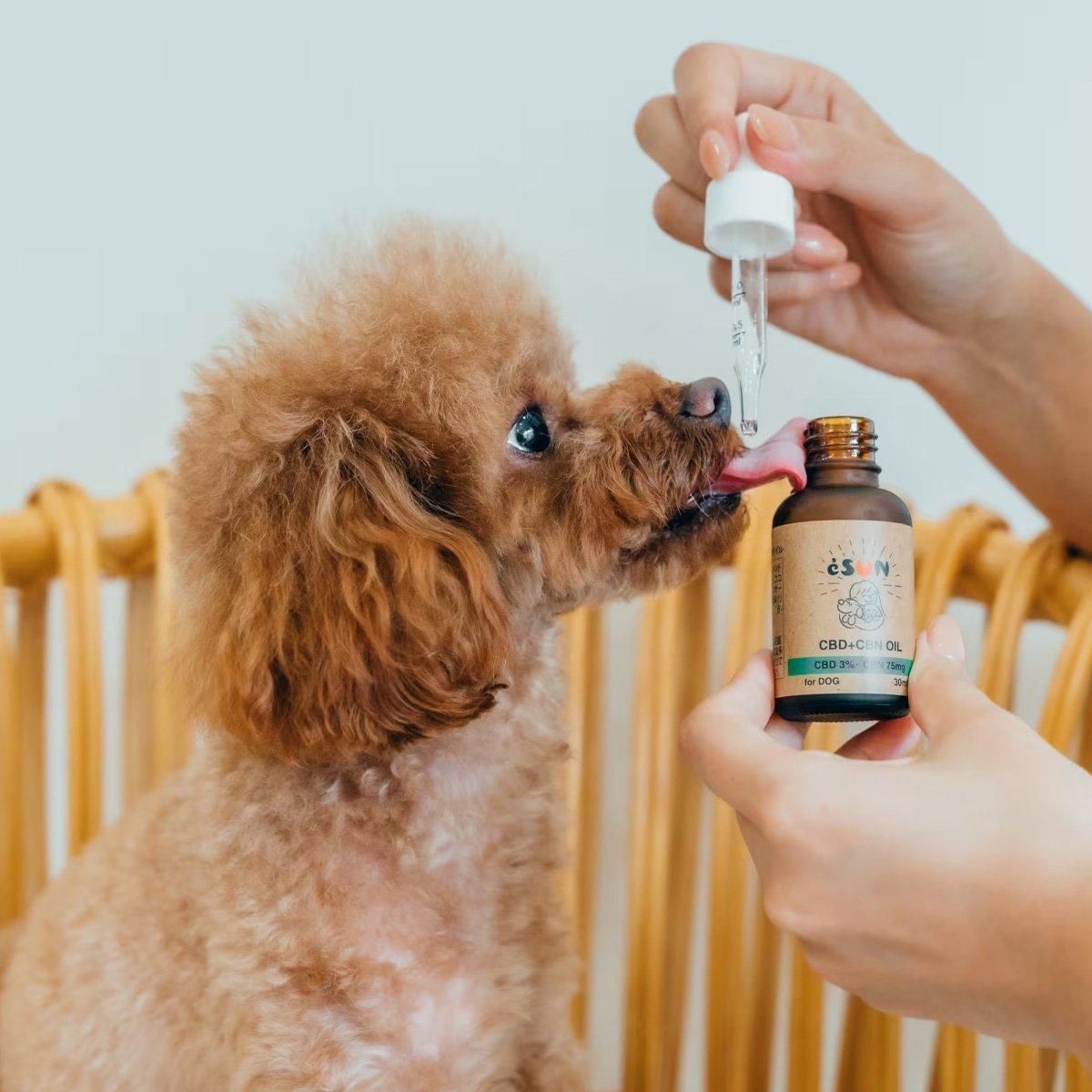 eSUN 犬用 CBD+CBNオイル｜わん子ん家ひまカフェ
