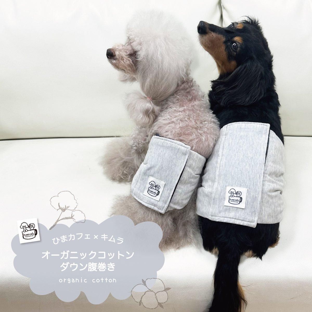 オーガニックコットン ダウン腹巻
