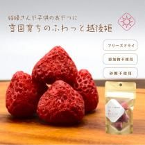 ե꡼ɥ饤