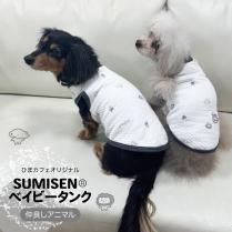 Ҥޥեꥸʥ SUMISEN٥ӡ󥯡SUMISEN(R)1Τߥݥ