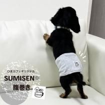 Ҥޥեꥸʥ SUMISENʢ SUMISEN(R)1Τߥݥ