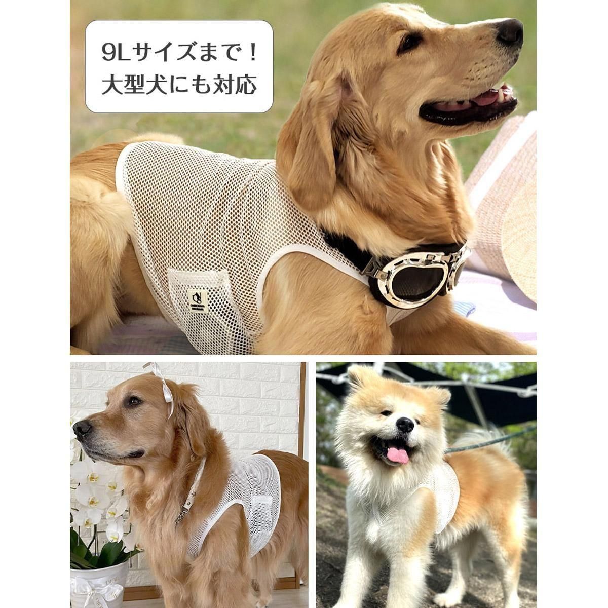 ͥ