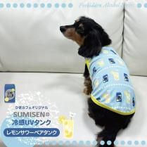 Ҥޥեꥸʥ 䴶UVå SUMISEN󥯥ȥå 󥵥٥󥯡SUMISEN(R)1Τߥݥ