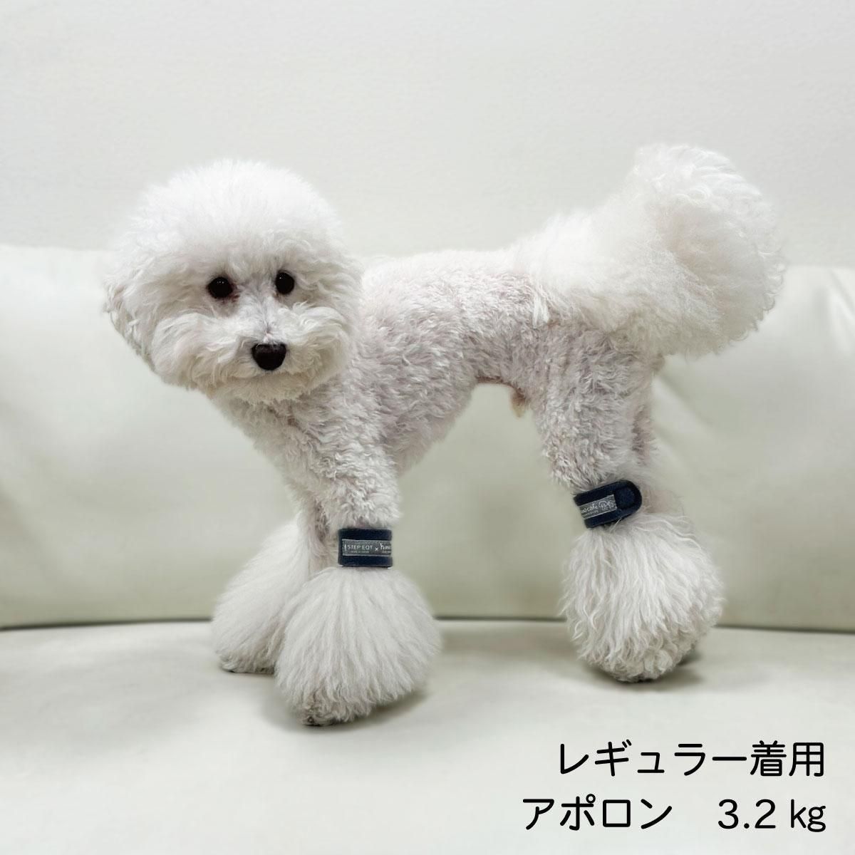 STEP EQT PRO ステップEQTプロ 犬用アンクルバンド2個　レギュラー ワンちゃん用EQT PROアンクルバンド／STEP EQT ｜わん子ん家ひま