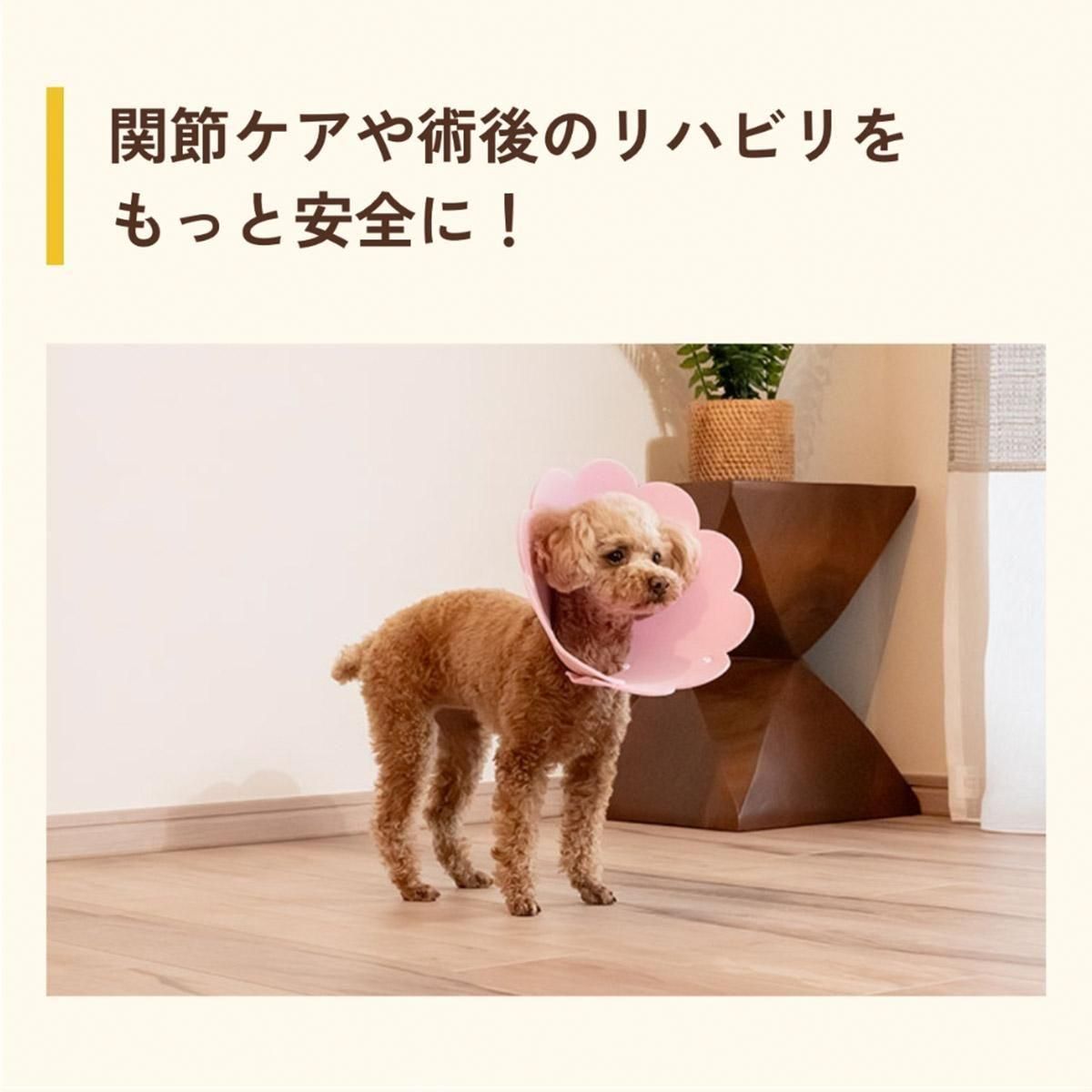 ͥ