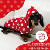 <img class='new_mark_img1' src='https://img.shop-pro.jp/img/new/icons13.gif' style='border:none;display:inline;margin:0px;padding:0px;width:auto;' />եƥإ ɥåȥɥ֥졼Ҥޥեꥸʥ 1Τߥݥ